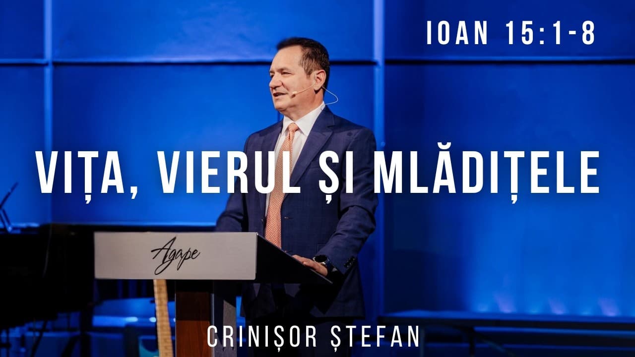 #49 – Crinisor Stefan | Pentru ca voi să credeți - Evanghelia după Ioan | Ioan 15:1-8